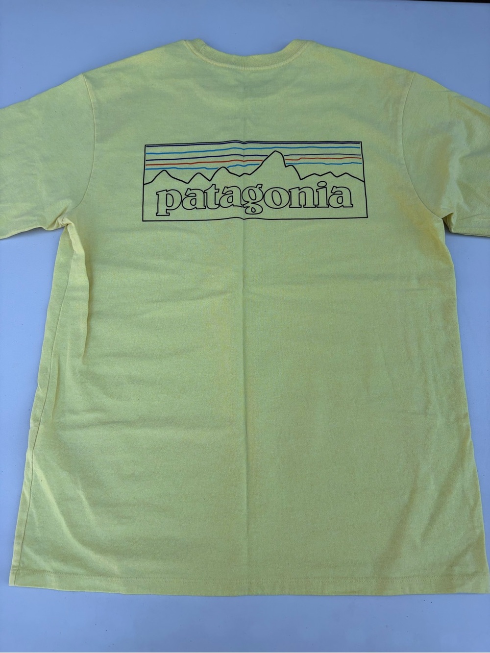 Patagonia yellow short sleeve tee